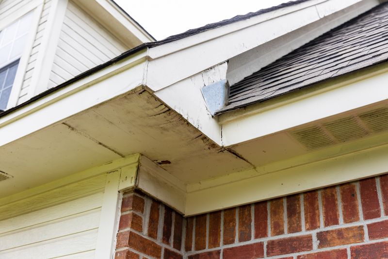 Soffit Maintenance