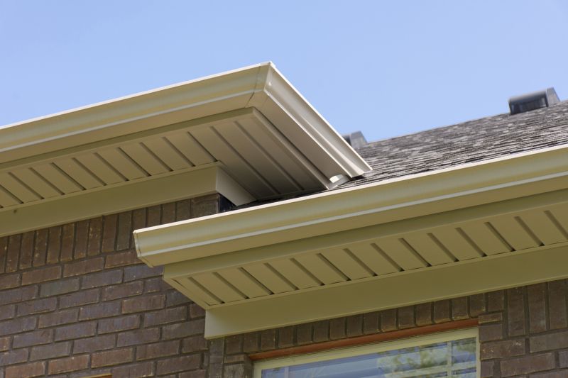 Repaired Fascia and Soffit